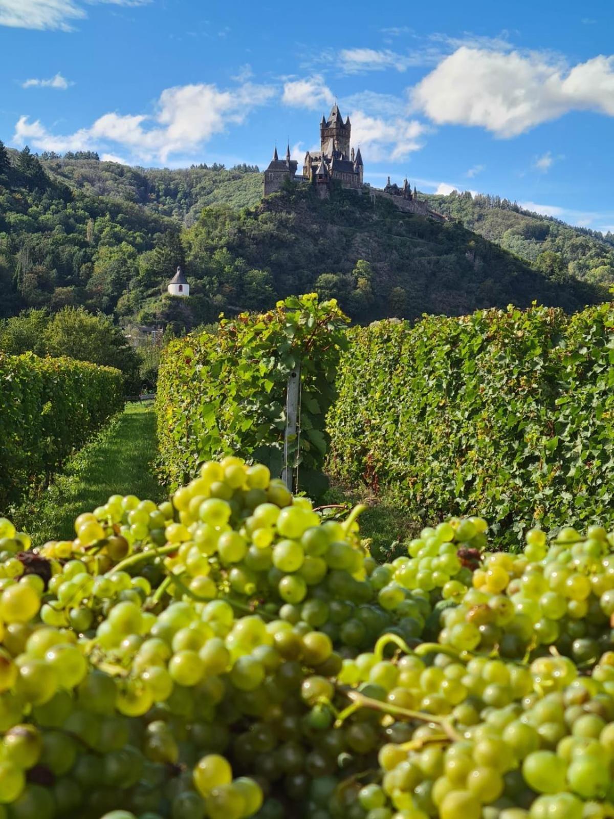 Weingut Gaestehaus Bach 科赫姆 外观 照片